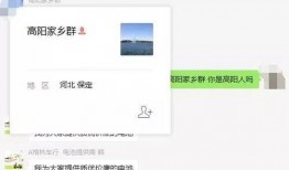 射阳网红吃瓜群微信公众号,趣味横生的网络社交盛宴