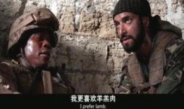 黑鹰坠落超清在线观看,超清在线重温经典战地纪实